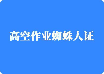 免费看,艹逼高空作业蜘蛛人证